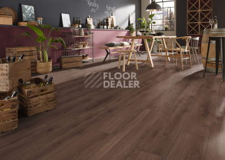 Kronotex Exquisit 8мм d89652 Дуб Мистраль фото 5 | FLOORDEALER